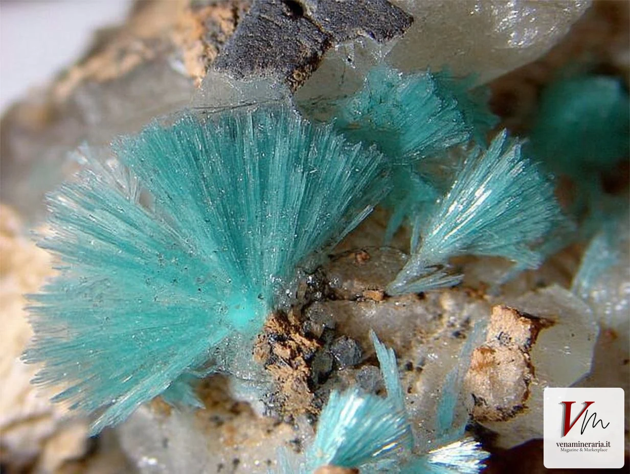 Auricalcite della Miniera Is Murvonis, Domusnovas, Sardegna