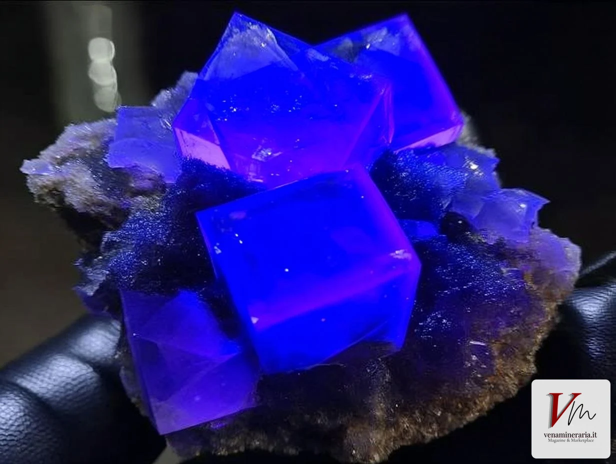 Fluorite fluorescente blu-violetta sotto luce UV