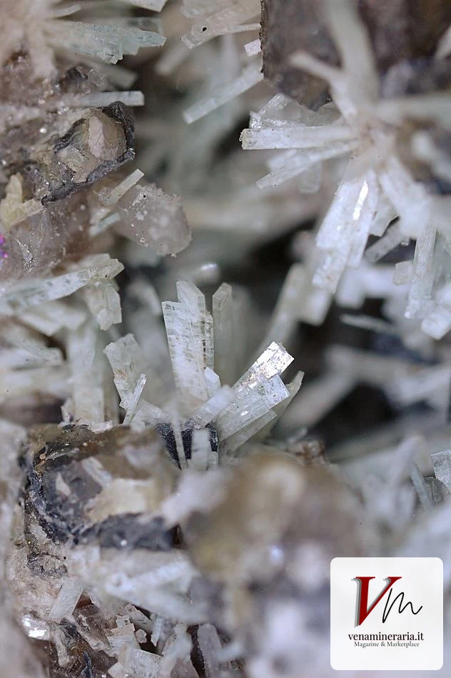 Johannsenite di Recoaro Terme