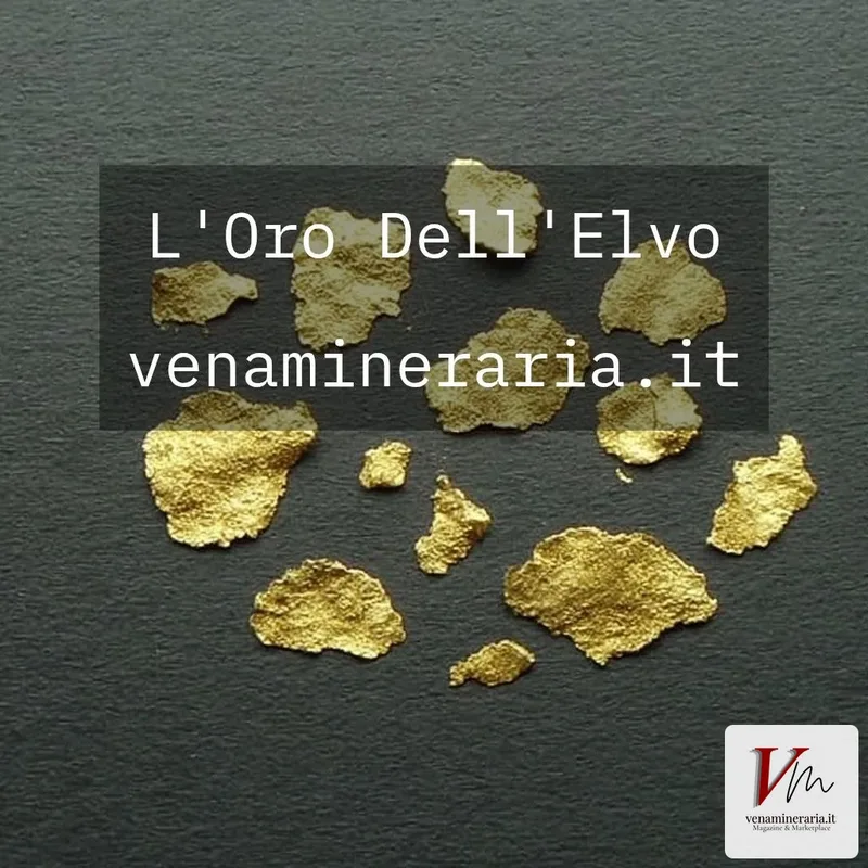 Oro sul Fiume Elvo: Mappa e Tecniche per Trovare la tua Prima Pepita
