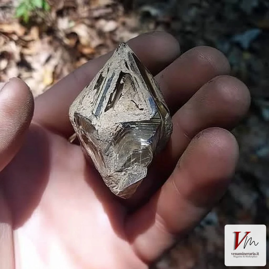 Un cristallo di quarzo trovato sul campo