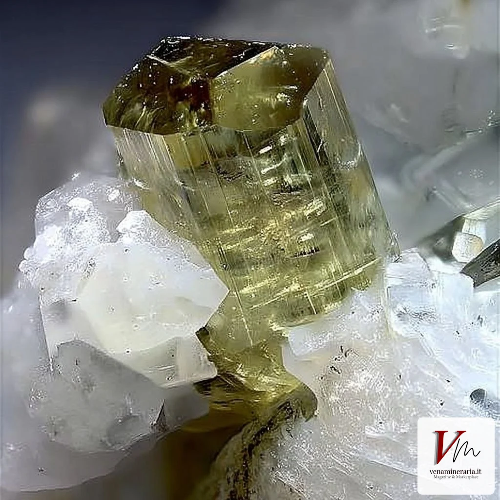 Tormalina var. dravite di Crevoladossola (Piemonte, VCO)