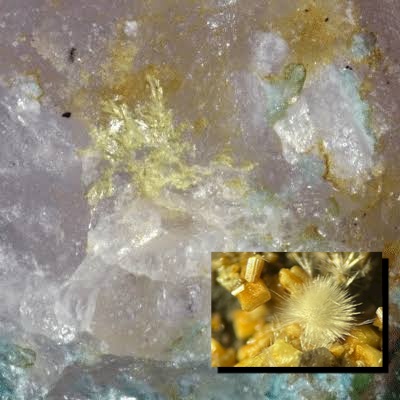 Delchiaroite: Caratteristiche e genesi del nuovo minerale di Carrara
