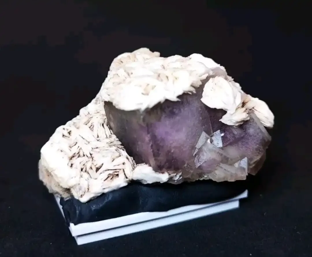 Fluorite con Fantasma Viola su Barite - Monte San Calogero, Termini Imerese