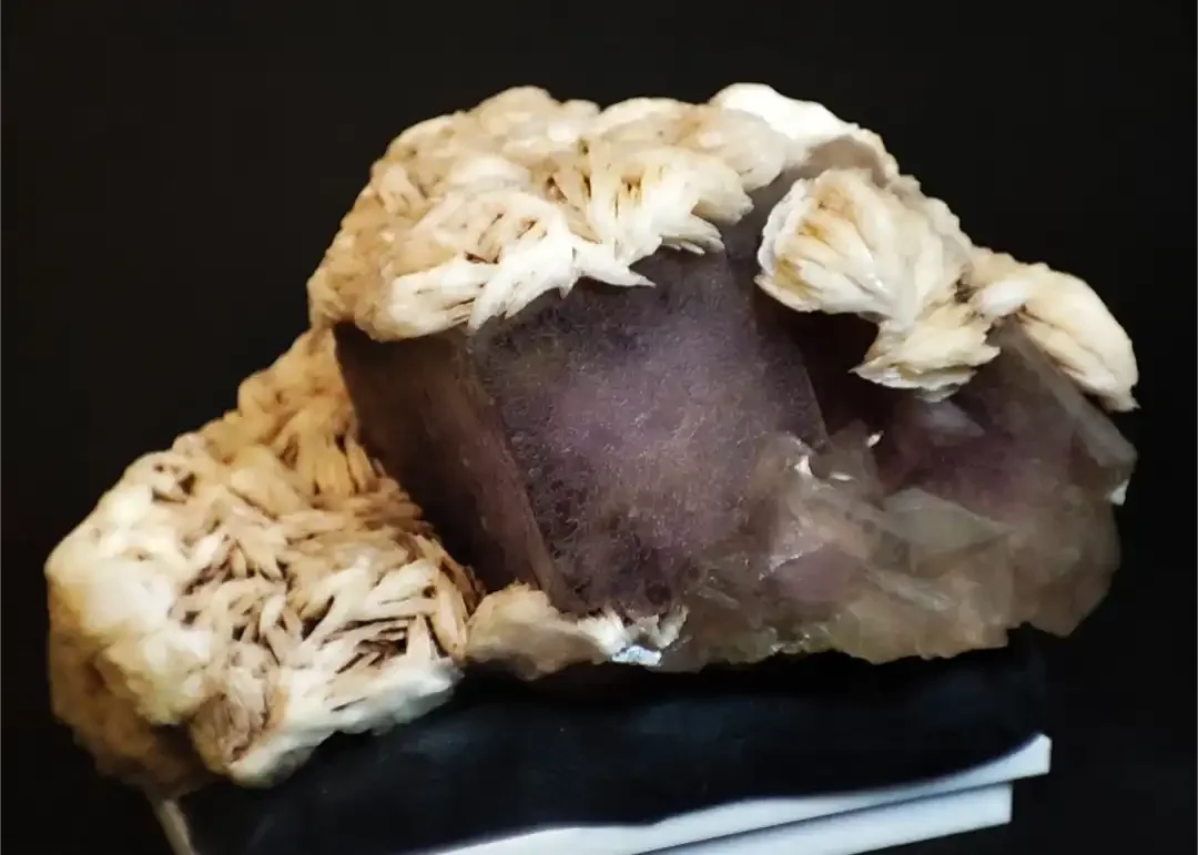 Fluorite con Fantasma Viola su Barite - Monte San Calogero, Termini Imerese