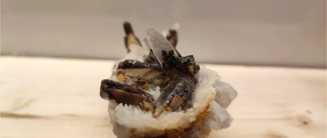 Calcite con Pirolusite e Piromorfite Cresce su Matrice di Quarzo - Cina