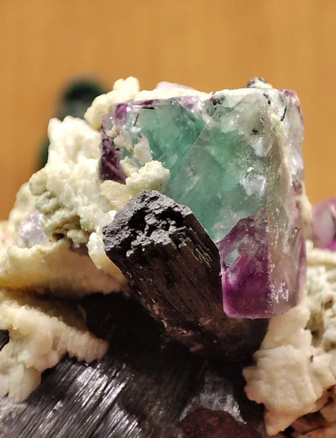 Fluorite Verde Viola su Tormalina Nera Schorl Albite - Erongo Namibia - Minerale