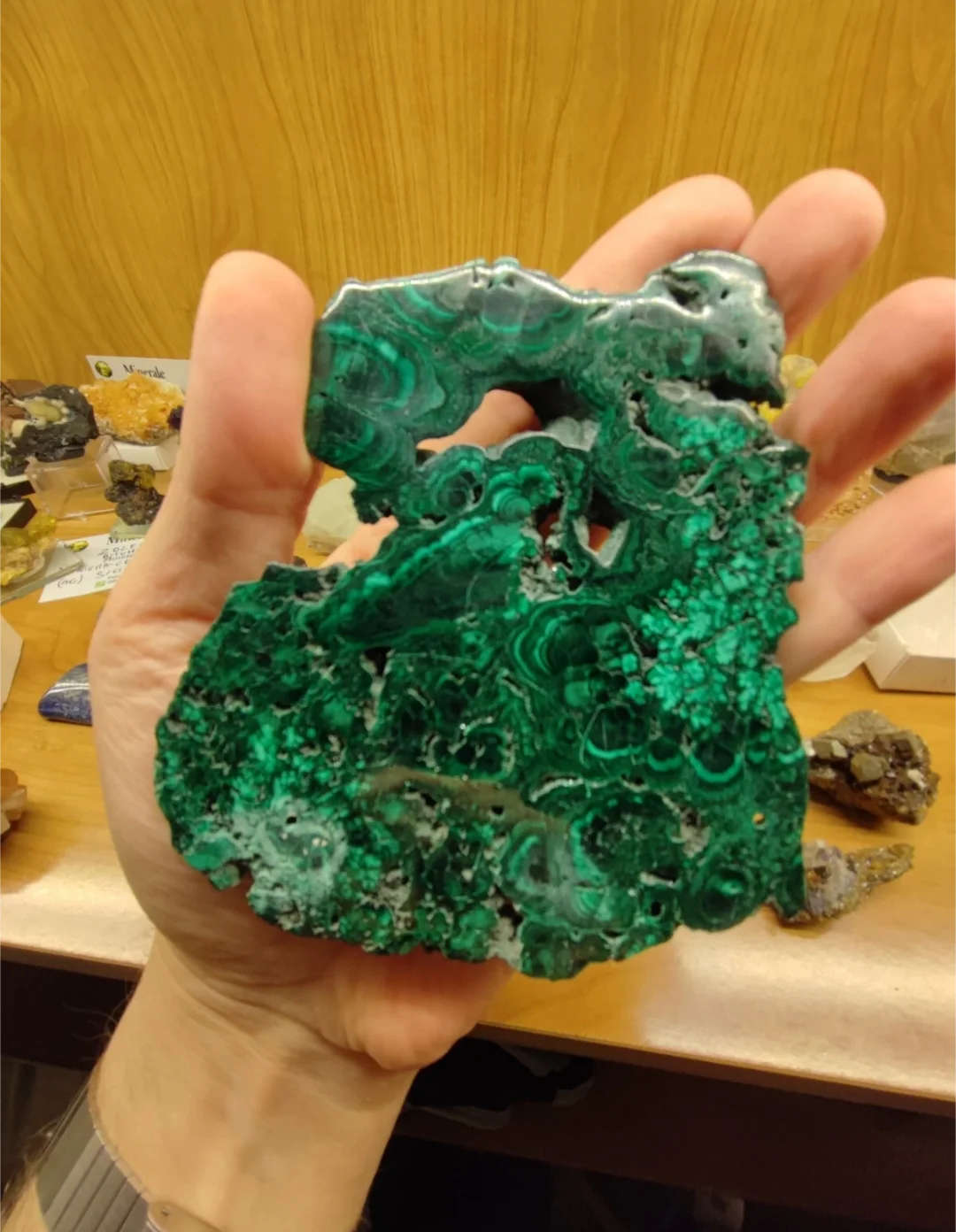 Fetta di malachite lucida del Congo