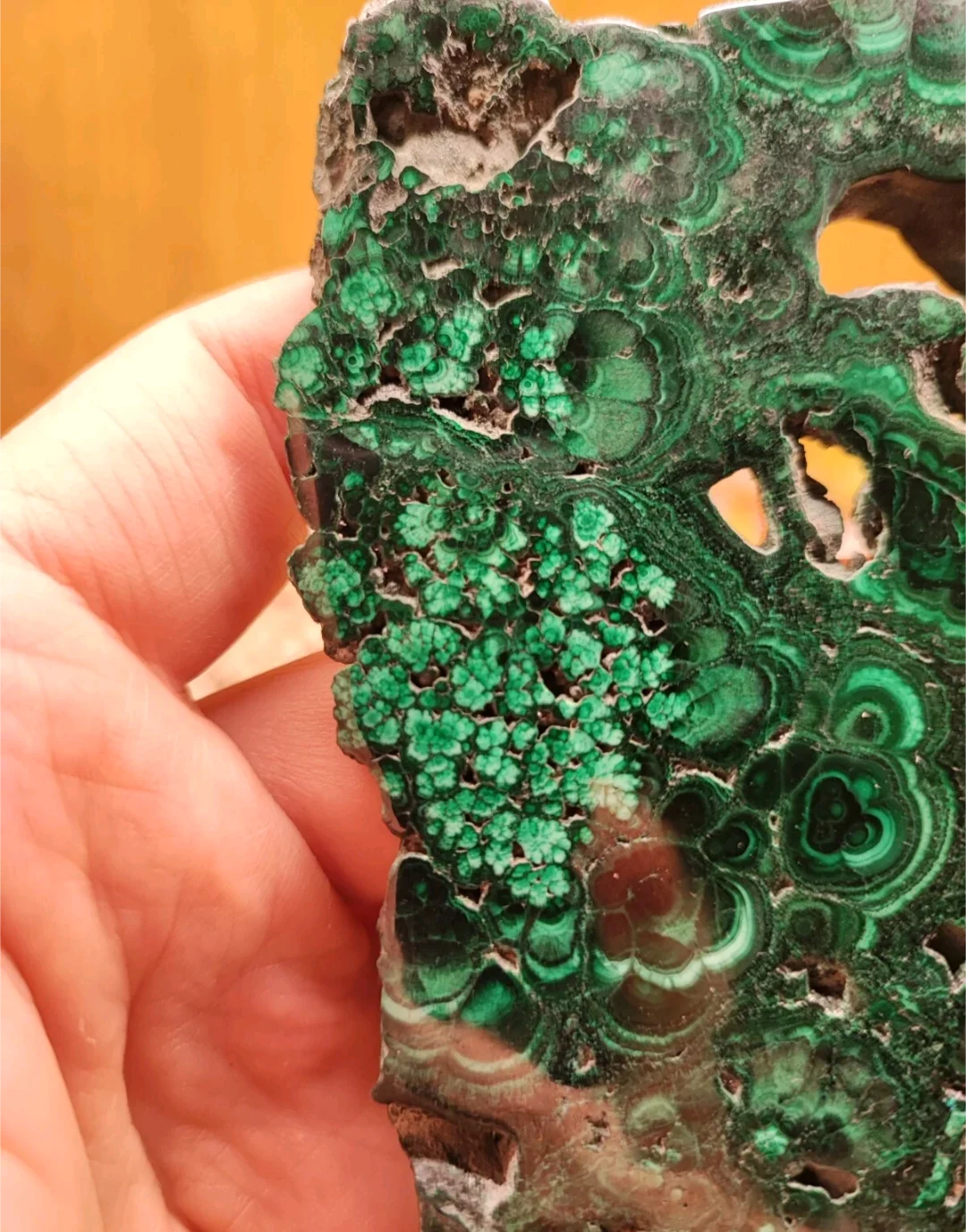 Fetta di malachite lucida del Congo