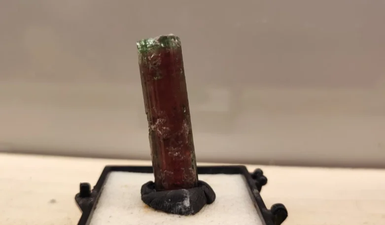 Elbaite Tormalina Cruzeiro | 3 X 0.8 cm | cristallo naturale