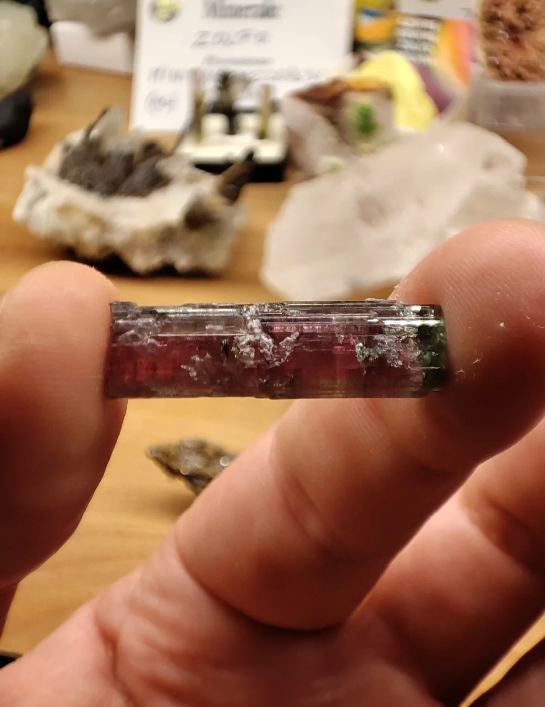 Elbaite Tormalina Cruzeiro | 3 X 0.8 cm | cristallo naturale