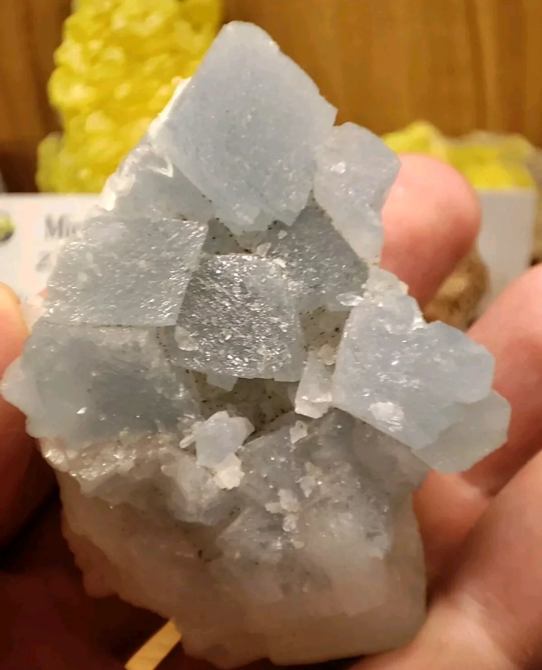 Celestina Blu - Miniera di Canicassè, Sicilia - esemplare da collezione