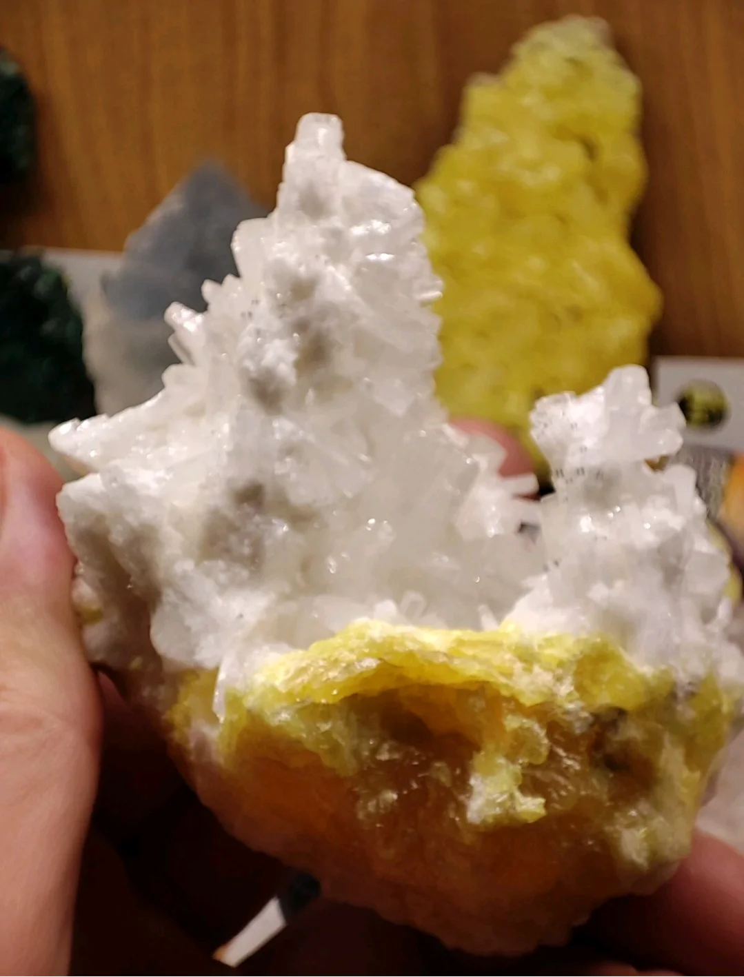 Minerale di zolfo con cristalli celestina traslucidi - miniera di Grasta, Sicilia