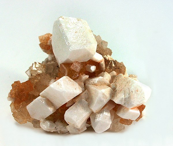 Salgemma di Aragona