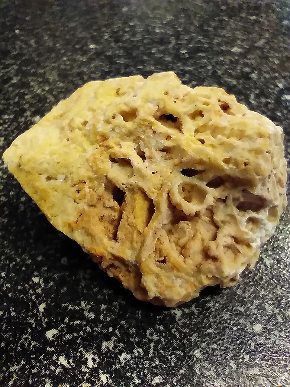 Travertino