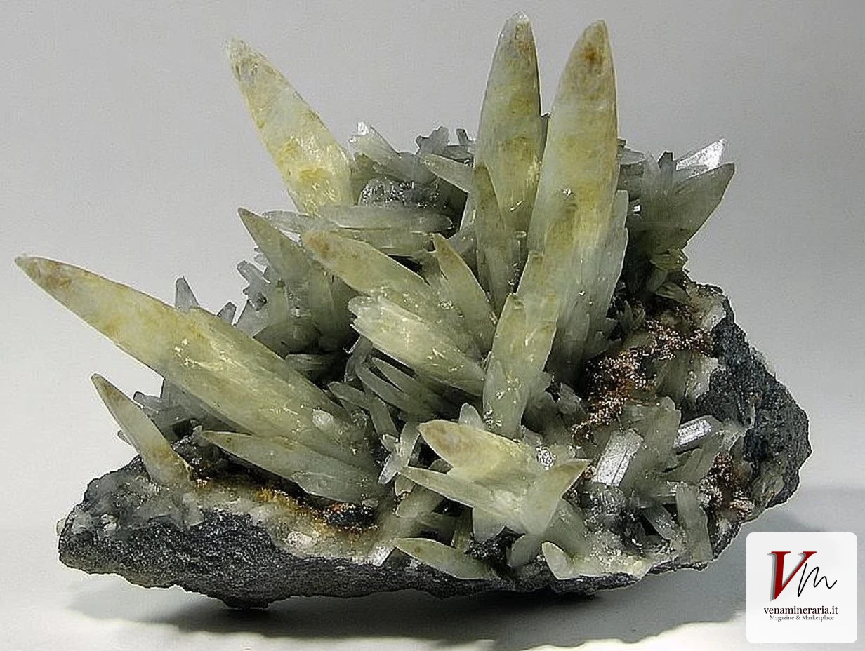 Hedenbergite di Miniera del Temperino