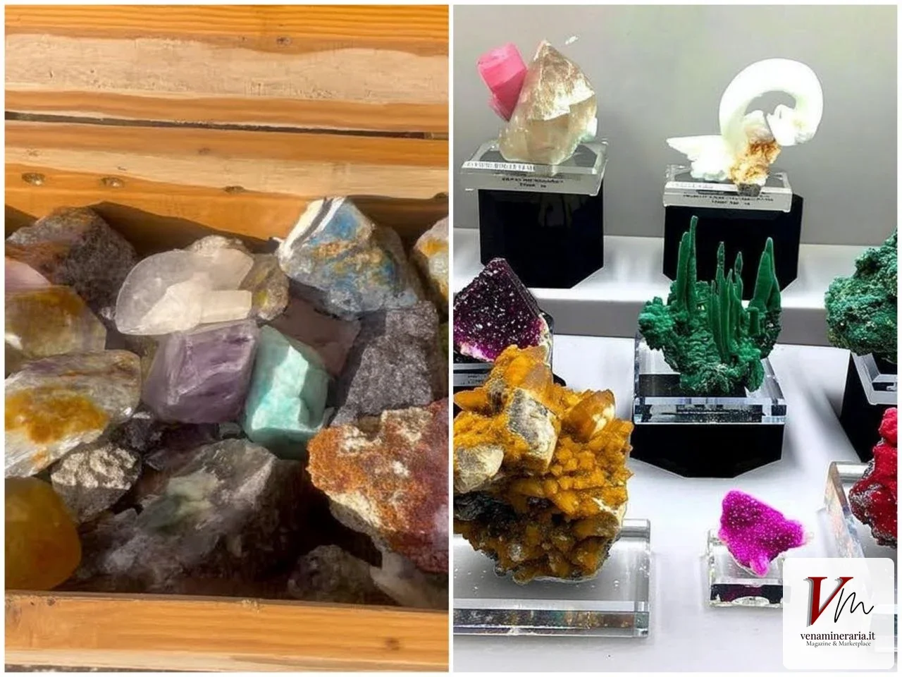 Collezionismo di Minerali: Come Iniziare e Creare una Collezione da Museo