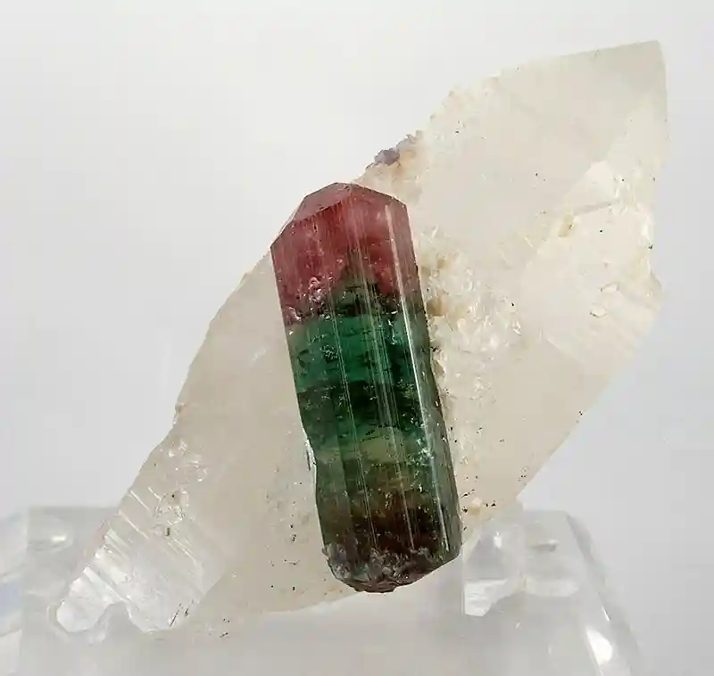 Guida Definitiva al Collezionismo di Minerali d'Élite: Segreti, Criteri di Valutazione e Strategie d'Acquisto