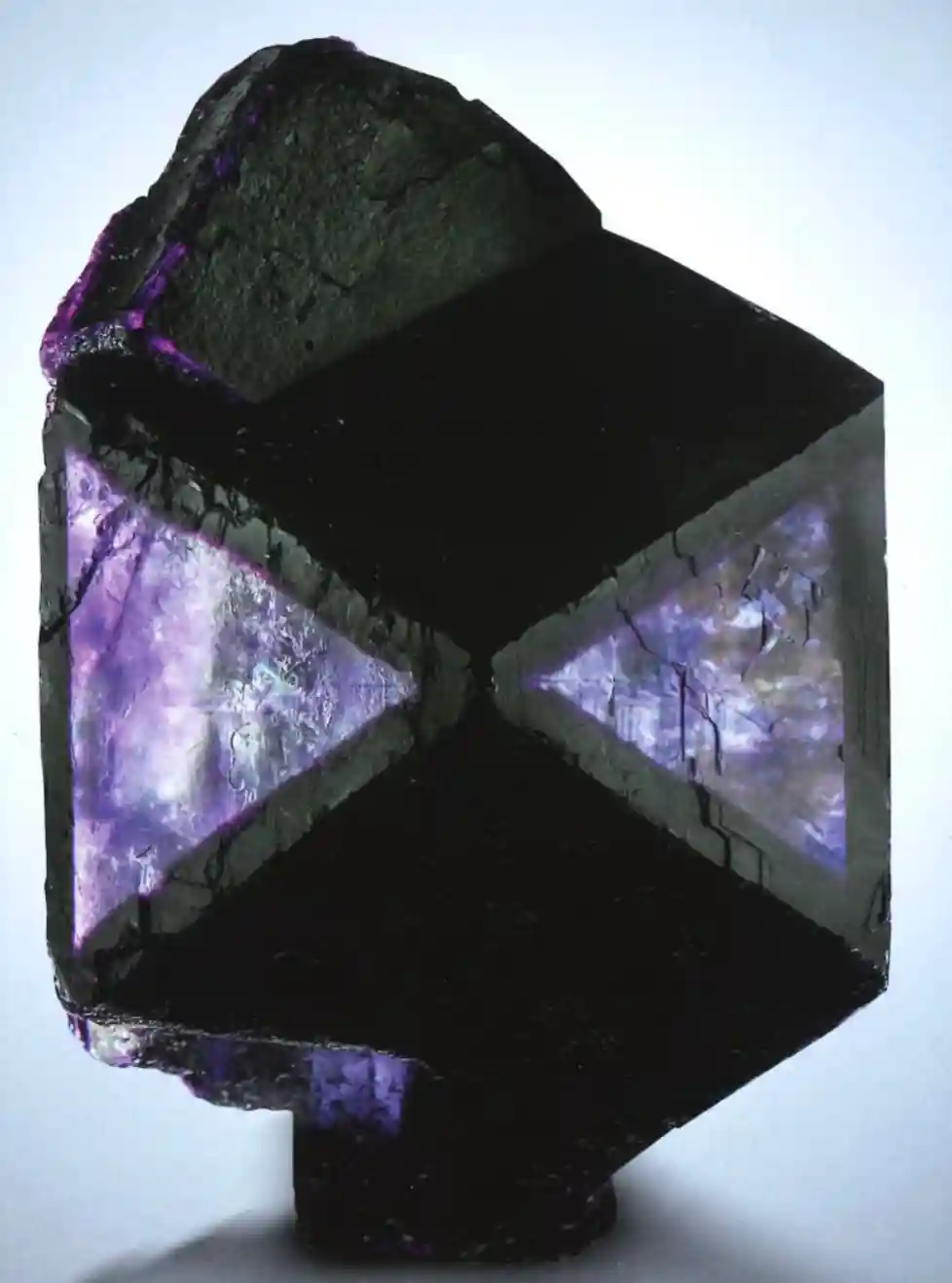 Fluorite Zogno: Dove Trovarla, Prezzo e Valore 2026